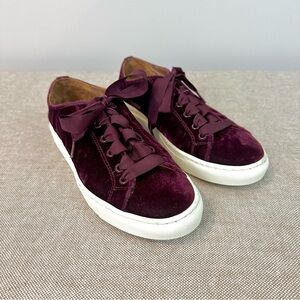 Margaux Velvet Sneakers in Deep Purple